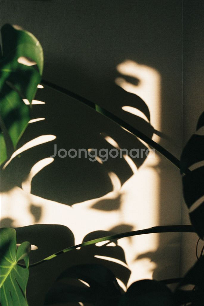 A급 올림푸스 om4ti--9