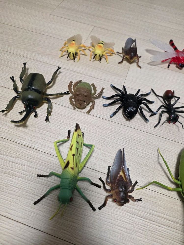 곤충 피규어 세트(20종)--1