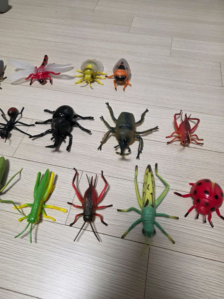 곤충 피규어 세트(20종)--2