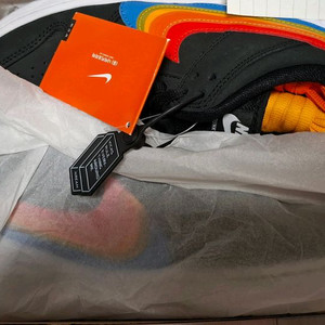 270 나이키 덩크 SB 폴라로이드