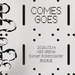 선셋 롤러코스터 내한공연 앞열 티켓 양도