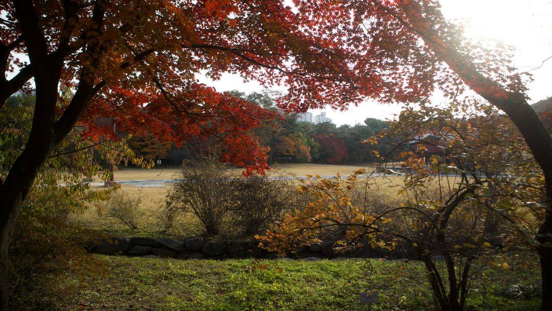 M3 미러리스 카메라 + 15-45mm 렌즈 세트 이미지