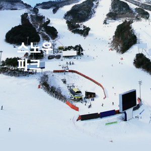 웰리힐리콘도 숙박 12월20일(토)