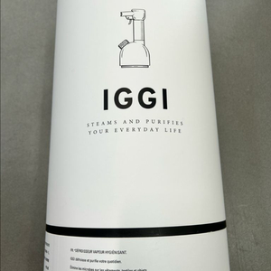 로라스타 IGGI 핸디형 스팀 다리미판매 합니다