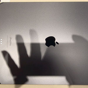 아이패드 프로 13인치 M4 512GB 셀루러버전 팝니다