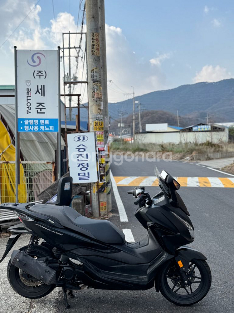 혼자 포르자350 (2021)--3