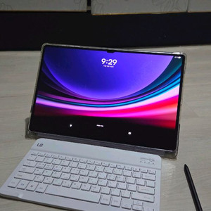 갤럭시탭 S9 울트라 256GB WiFi