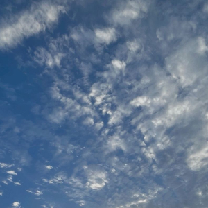 섯다 쿠폰 삽미다