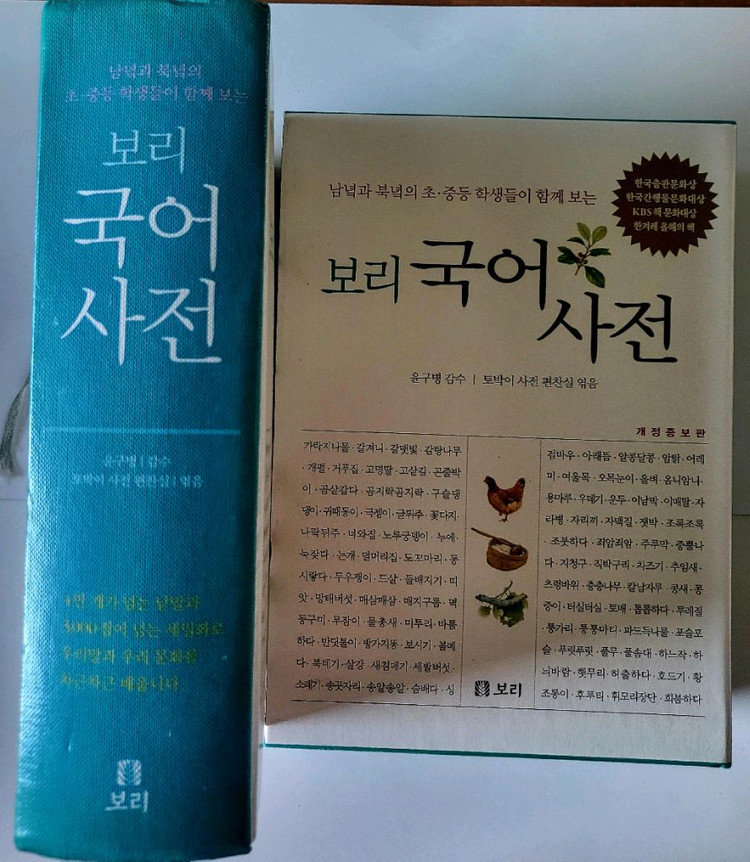 보리 국어 사전 + 국어 바로쓰기 세트--1