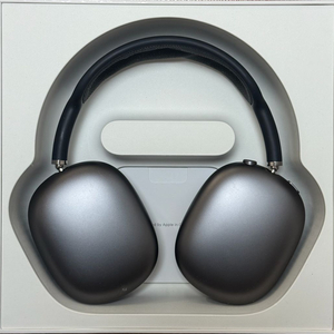 에어팟 맥스 스그 P-61