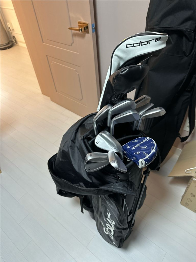 테일러메이드 아이언 p790 2022년 DgS200 4~p 이미지