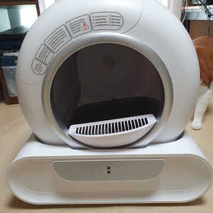 블루투스 자동 스마트 고양이 화장실 처분!