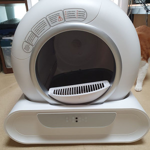 블루투스 자동 스마트 고양이 화장실 처분!