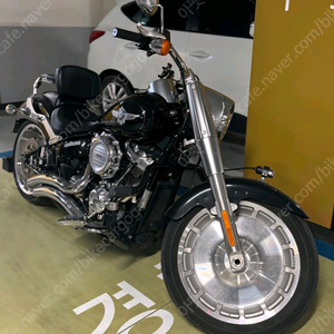 할리데이비슨 펫보이 이미지