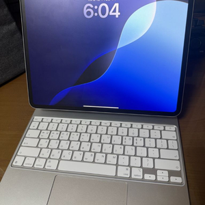 아이패드 프로 M4 13인치(펜슬 프로2 포함)