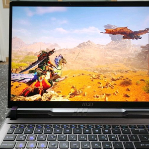 MSI 신품 하이엔드 i9 게이밍 노트북/RTX4080,2TB
