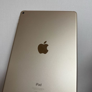 아이패드 에어 2세대 16GB 골드