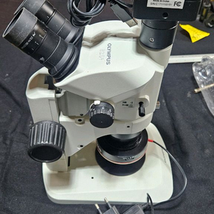 올림푸스 실체현미경 SZ61TR CAMERA 이미지