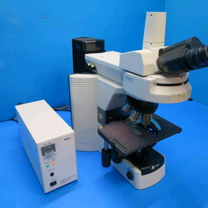 니콘 형광현미경 80iFL 이미지