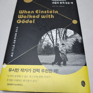 도서) 아인슈타인이 괴델과 함께 걸을 때 책 팝니다