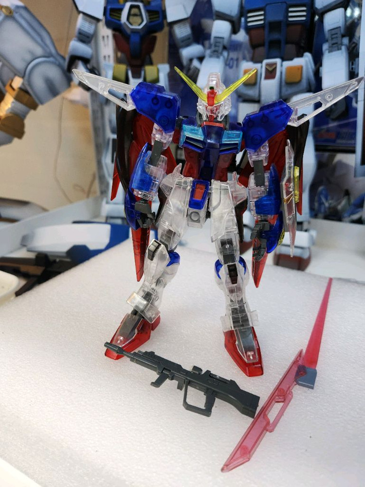 1/100 무등급 데스티니 건담 정크--0