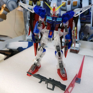 1/100 무등급 데스티니 건담 정크