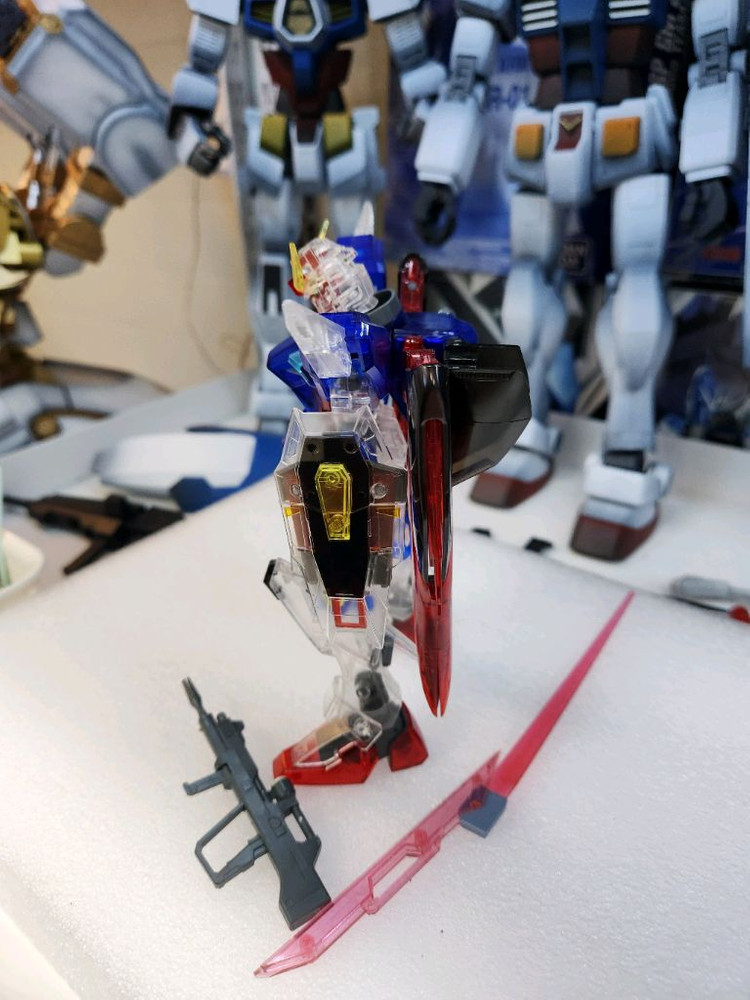 1/100 무등급 데스티니 건담 정크--1