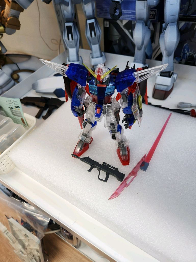 1/100 무등급 데스티니 건담 정크--4