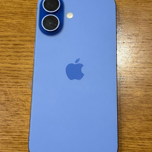 아이폰 16 블루 판매합니다 ! ( 급처 ) ( 교신 가능 )