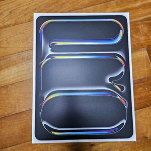 ipad 아이패드 프로 13 m5 256G