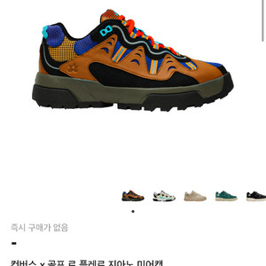 컨버스 x 골프 르 플레르 지아노 미어캣 이미지