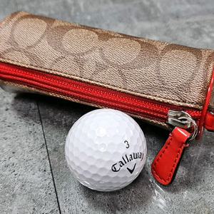 코치 캔버스 골프볼 파우치