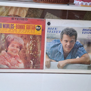 보니기타등 lp2장