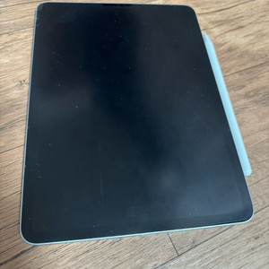 아이패드 프로 11인치 M1 256GB 셀룰러