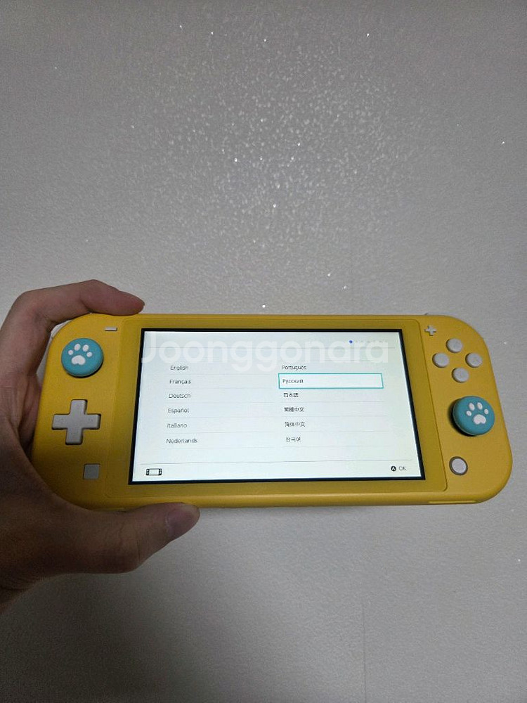 닌텐도 스위치 라이트(블루/디아루가&펄기아 에디션)+동숲칩--4