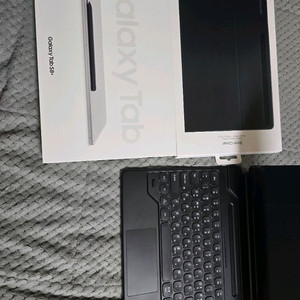 갤럭시탭 S8 플러스 256gb wifi