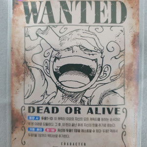 원피스 루피 캐릭터 카드