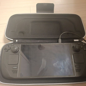 스팀덱 OLED 1TB 팝니다 (상태좋음,메모리카드1tb추가)