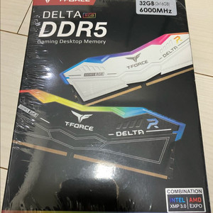 팀그룹 T-Force DDR5 램 32GB(16Gx2)
