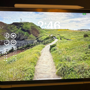 아이패드 프로 11인치 2세대 256GB + 매직키보드