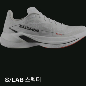 살로몬 S/LAB 스펙터 러닝화