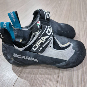 스카르파 암벽화 드라고 LV 클라이밍화