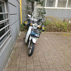 혼다 슈퍼커브 110 배달용 스쿠터