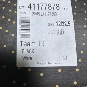 살로몬 팀 T3 스키부츠