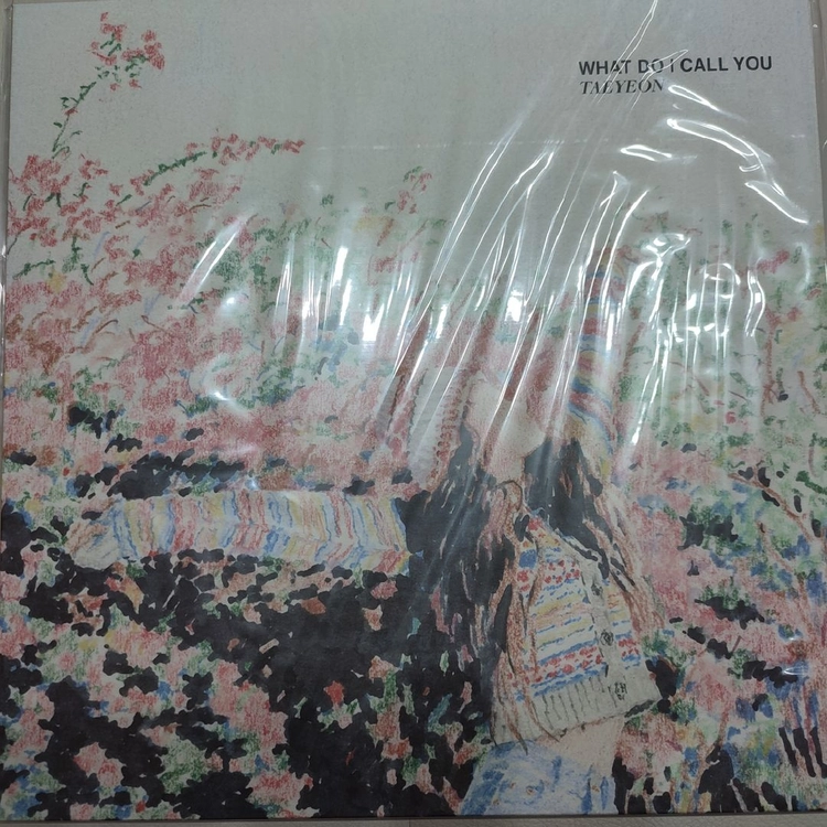 태연 LP 3장 이미지