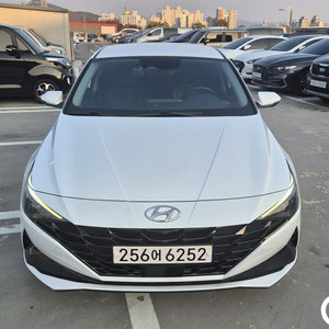 [현대]아반떼 (CN7) 1.6 법인전용 #가을특가