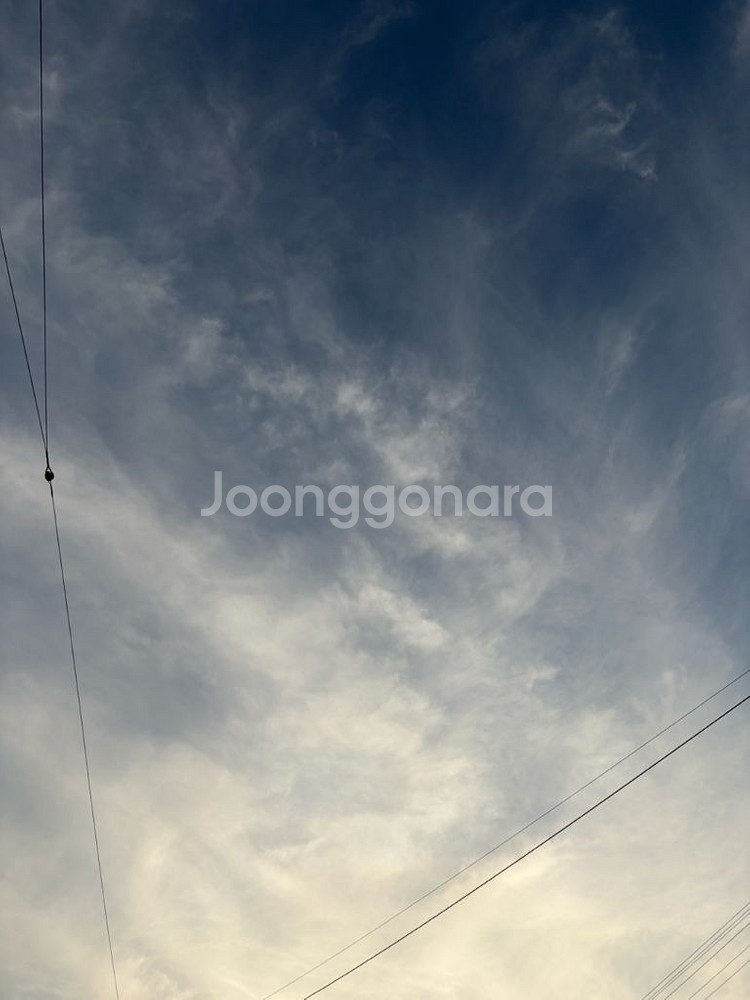 배스킨라빈스 쿼터 9천원 할인쿠폰--0