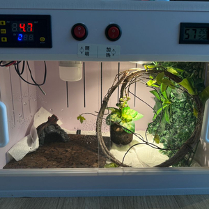 도마뱀 사육장 새상품