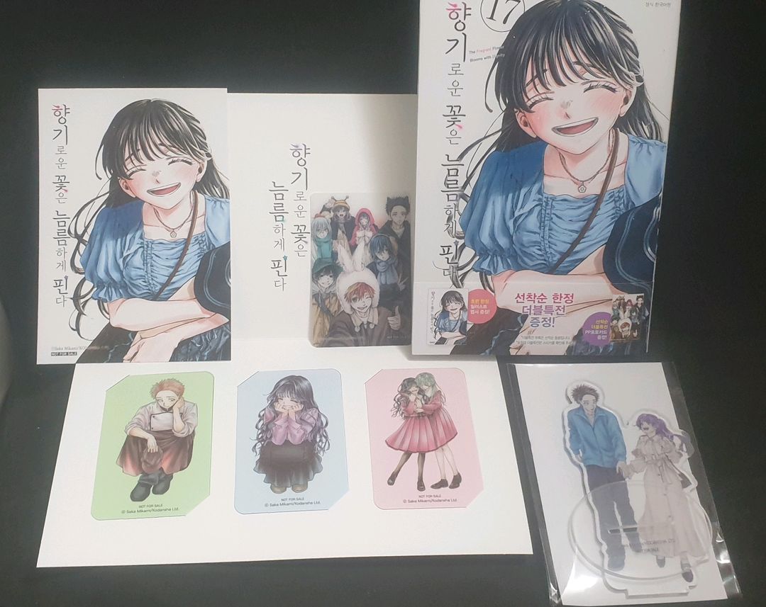 일본,사진집,시라이시 마리나,후부키 케이,하나이 미리 | 중고나라 - 안심되는 중고거래