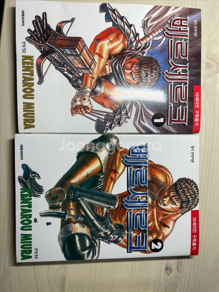 베르세르크 책--1